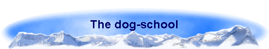 The dog-school