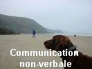 Communication 
non-verbale